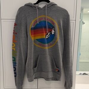 Aviator Nation Gray Hoodie logo. Size L. Very good condition. Unisex